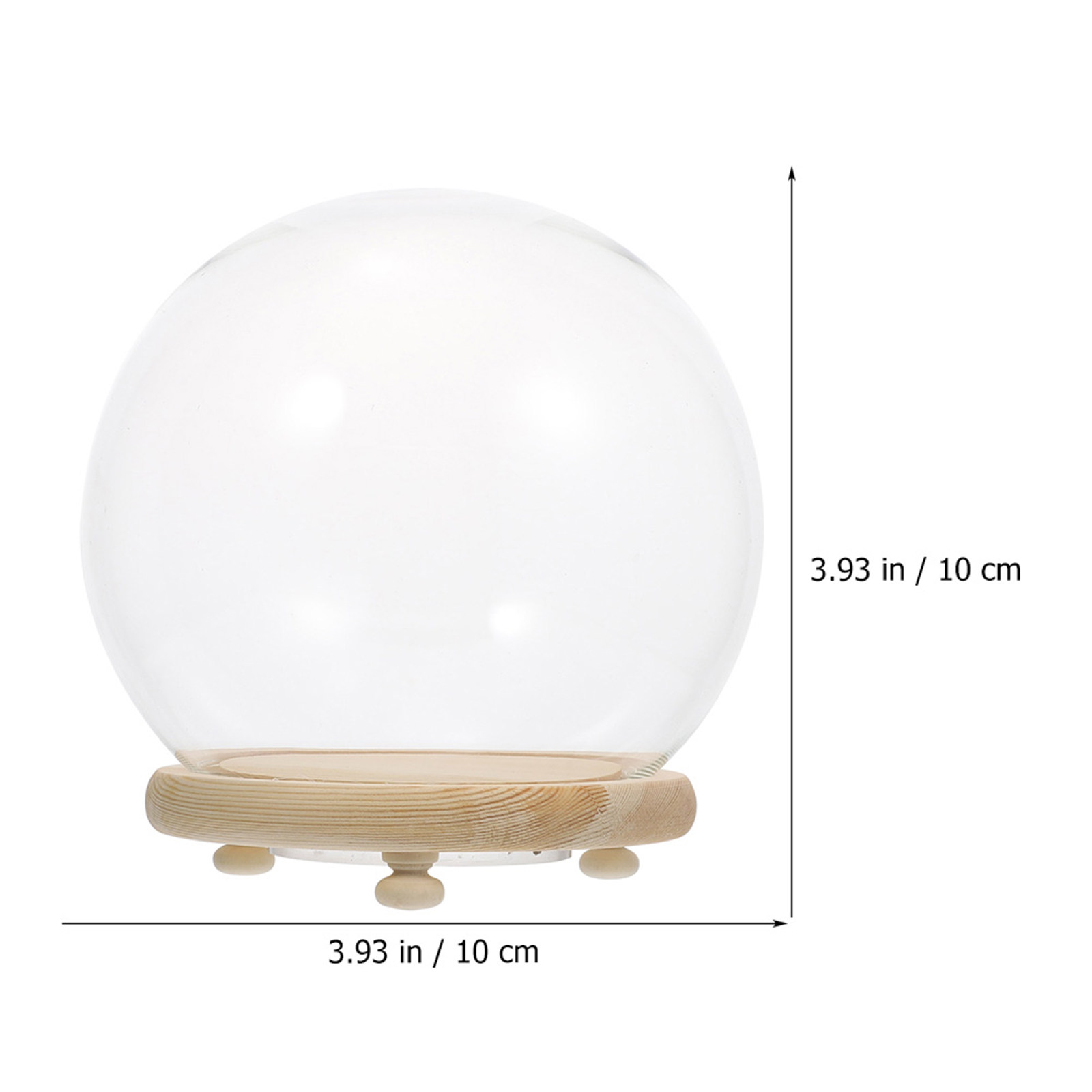 クリアガラスドーム型プリザーブドフラワーディスプレイケース、 - Home Decor Shop のレビューと価格