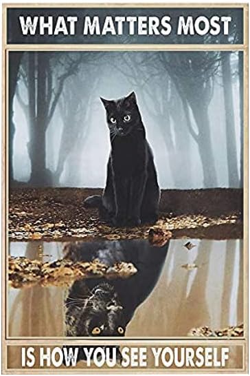 何が最も重要なのかはあなた自身をどう見ることかです。黒猫のレ - Home Decor How To のレビューと価格